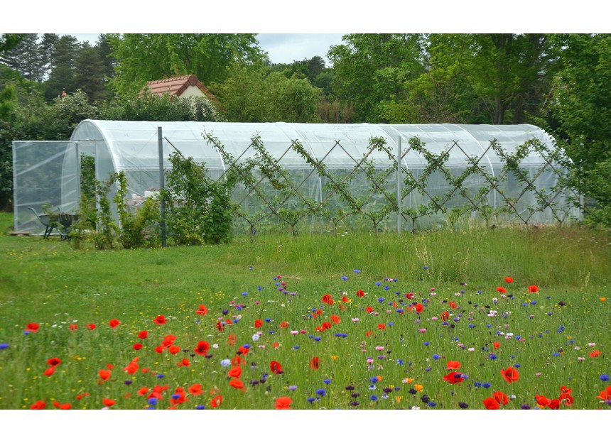 serre jardin dolmen 400 long 10m