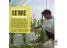 conseils pour nettoyer sa serre