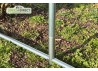 rehausse pour serre de jardin