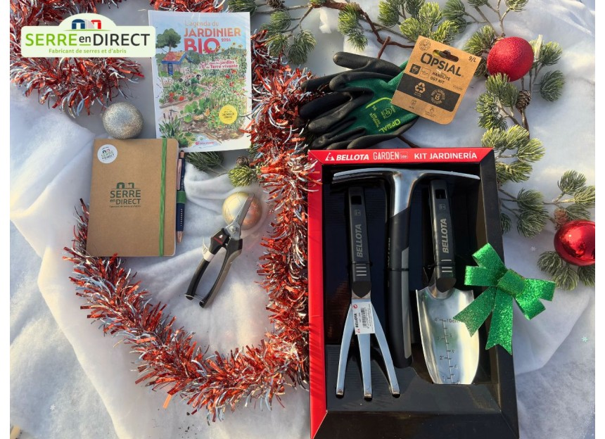 coffret de Noël d'outils professionnels