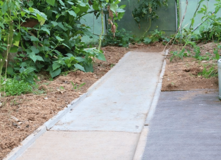 Dalle horticole en béton pour allée de serre de jardin
