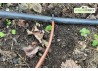 alimentation de goutte à goutte sur tuyau 6mm