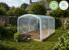 Abri tomate pour petit jardin parfait pour débuter le jardinage