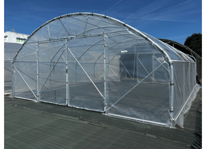 Serre de jardin DOLMEN PRO 640