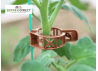 clips tomate renforcé avec pince fil