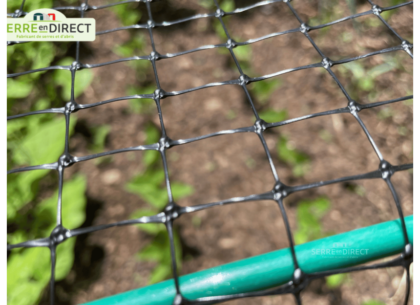 filet de protection des cultures