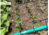 filet de protection des cultures