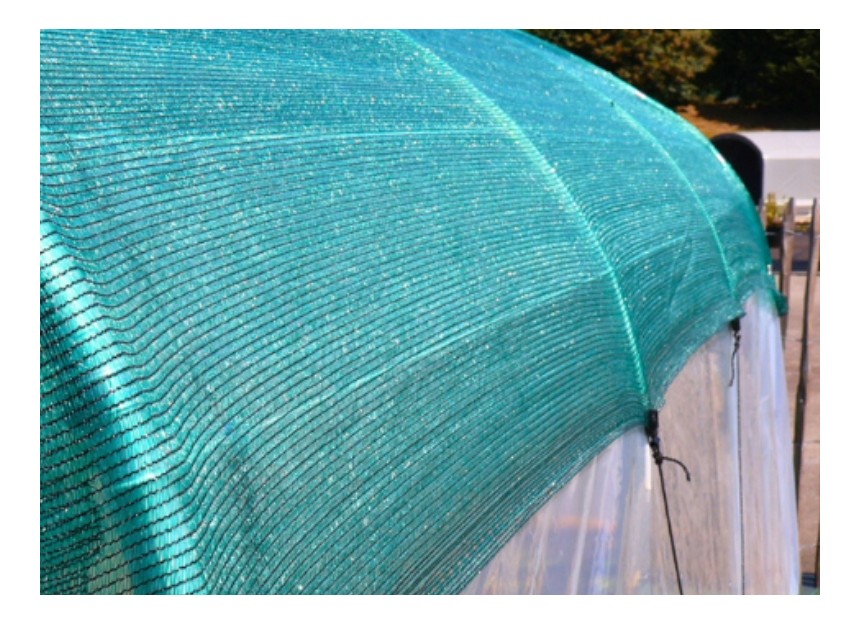 filet ombrage pour serre de jardin 60%