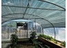 ombre dans serre de jardin