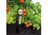 Goutteur IRISO arrosage plants tomates