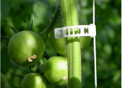Clips à tomates 23mm